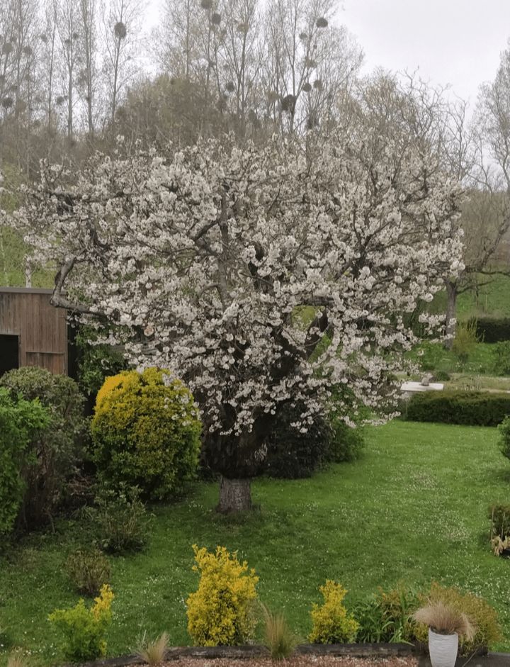 Photo de Murielle CAVADINI